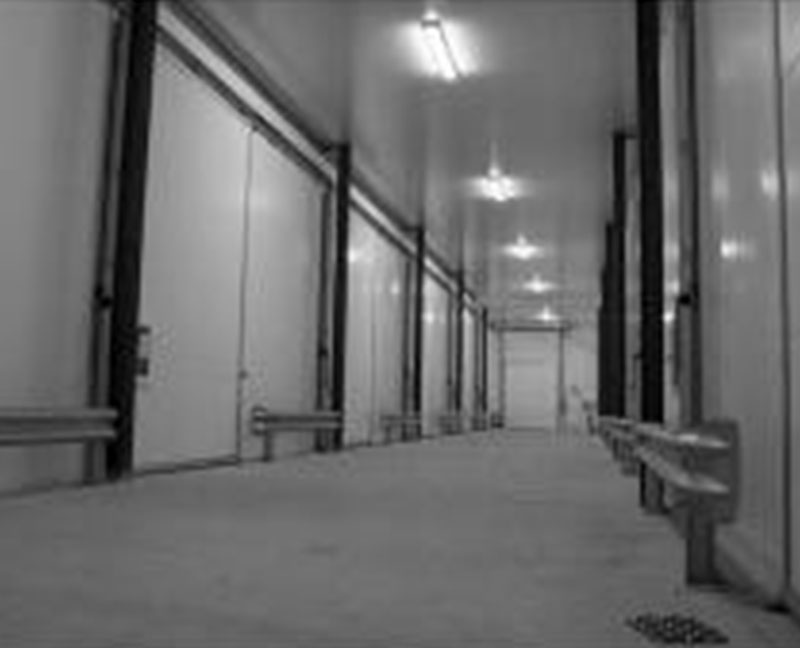 冷庫安裝實(shí)例/揚(yáng)州九齊制冷設(shè)備有限公司