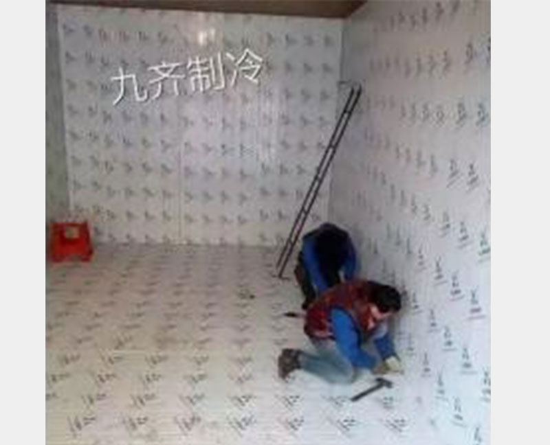 冷庫(kù)安裝實(shí)例7/揚(yáng)州九齊制冷設(shè)備有限公司