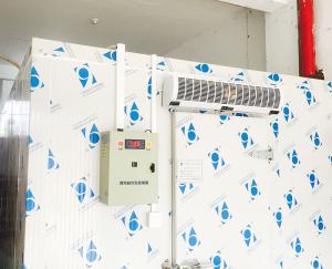 高郵豬肉排酸冷庫(kù)